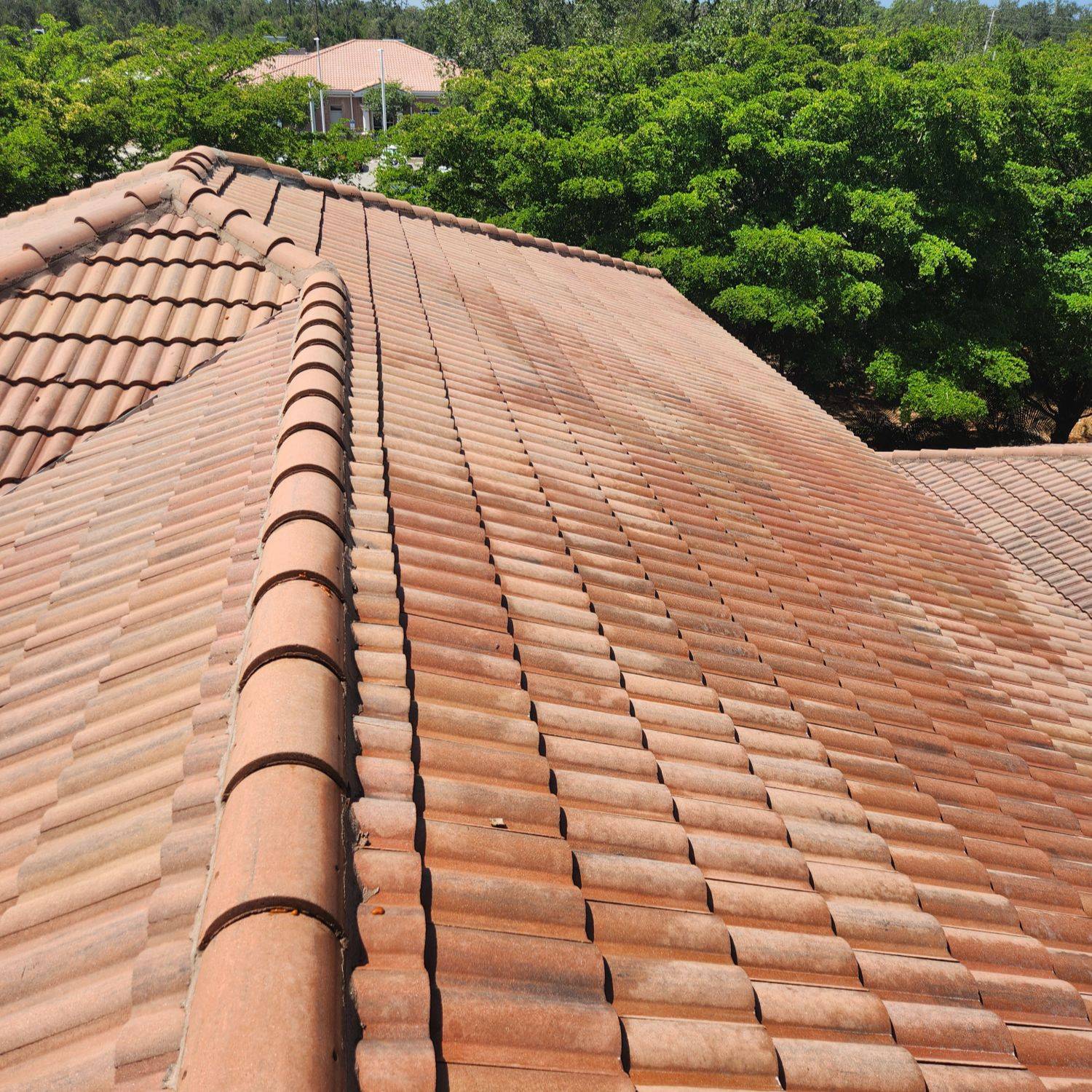 Before And After 2 (1)