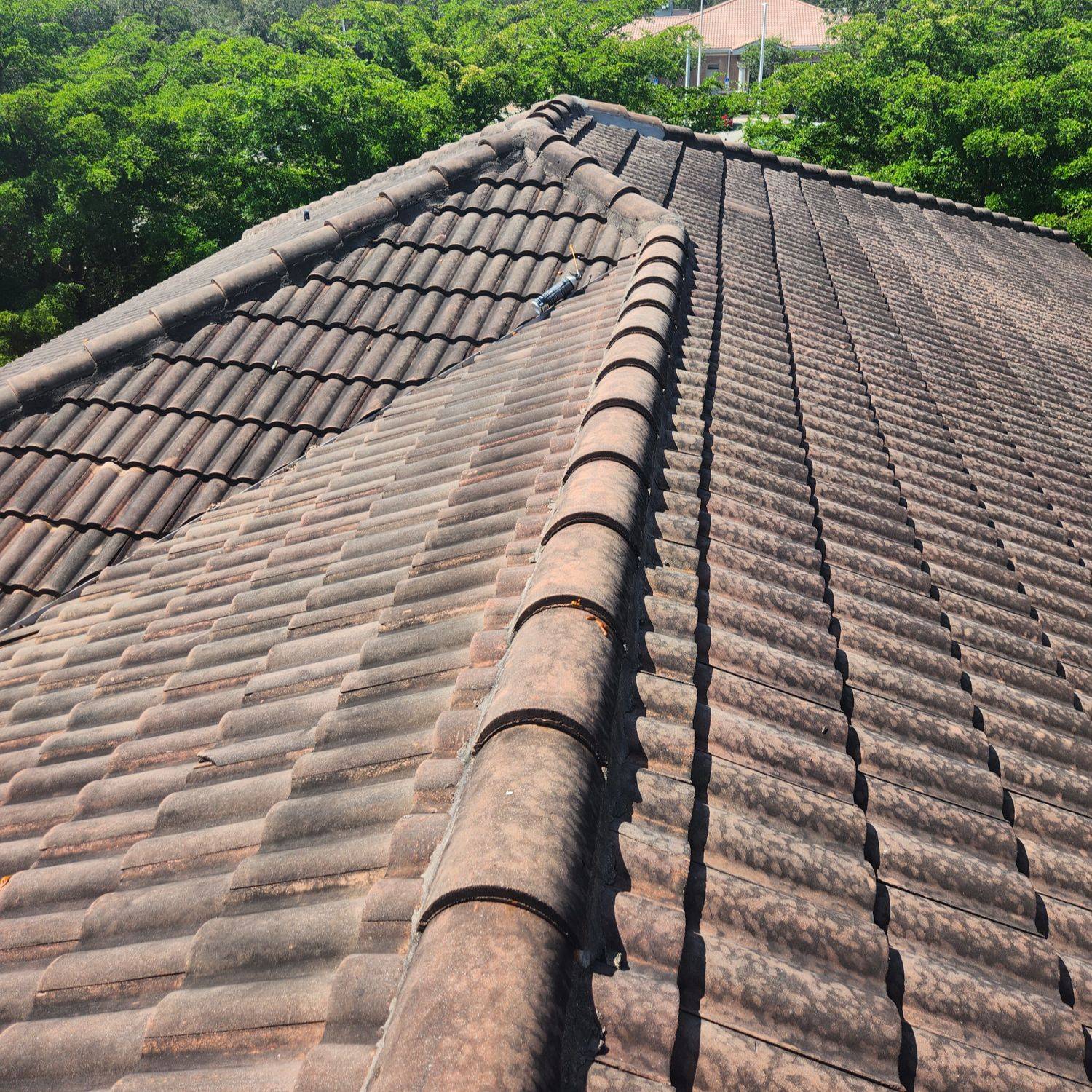 Before And After 2 (2)