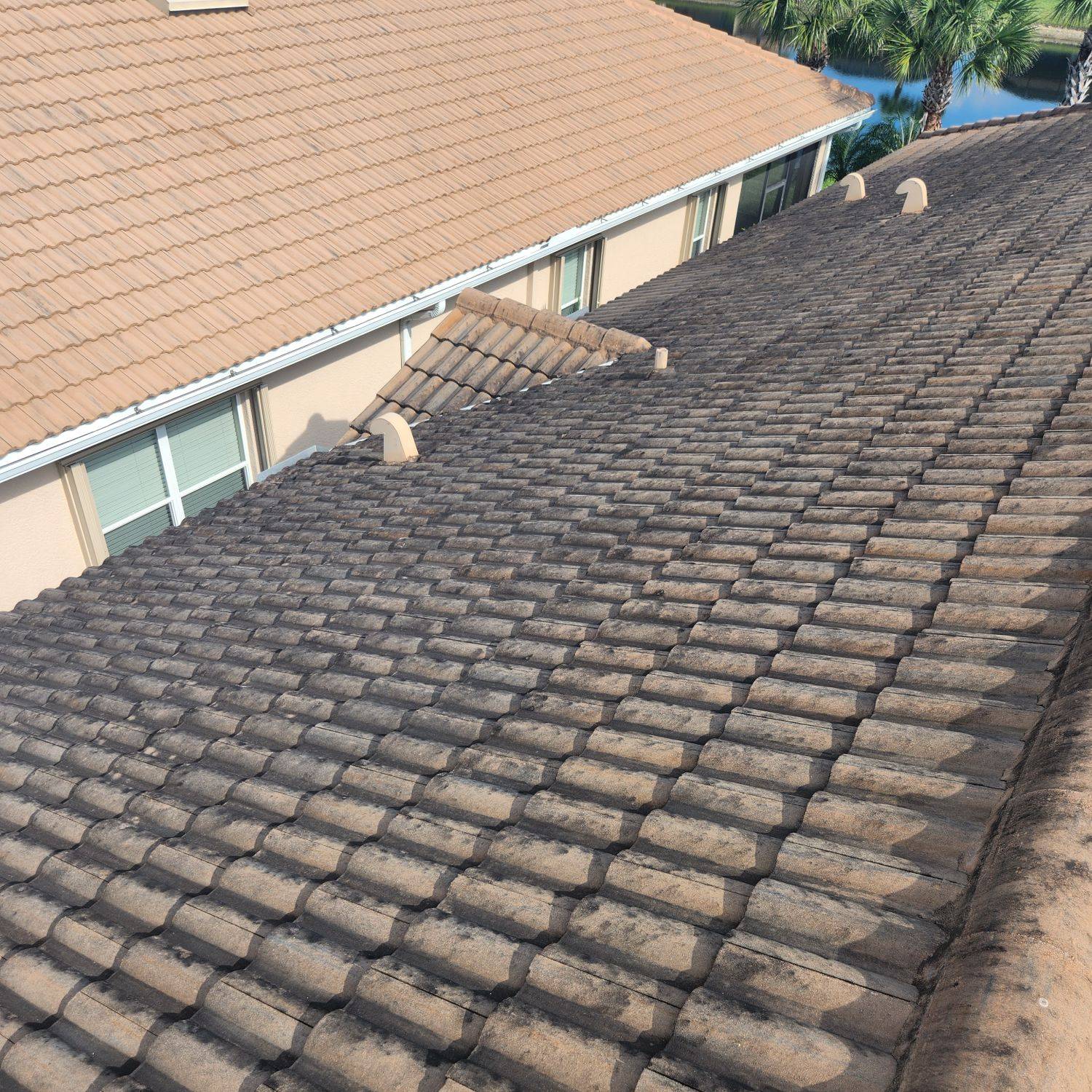 Before And After 6 (1)