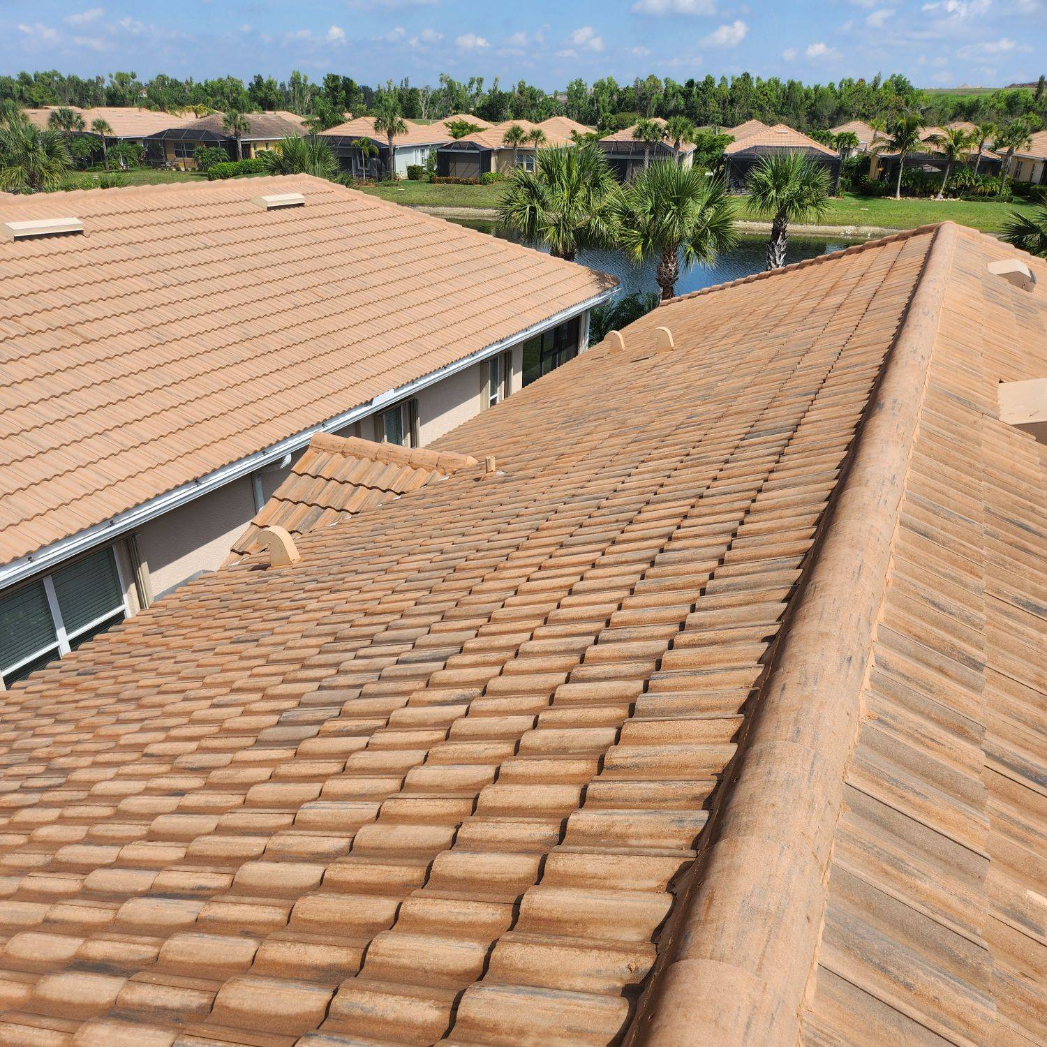 Before And After 6 (2)